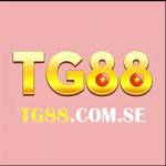 tg88 Profile Picture