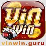 vinwin Profile Picture