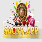 SAO79 App Profile Picture