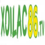 Xoilac TV – Trực tiếp bóng đá Profile Picture