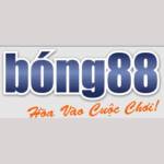 Bong88 Link Vào Bong88 Profile Picture