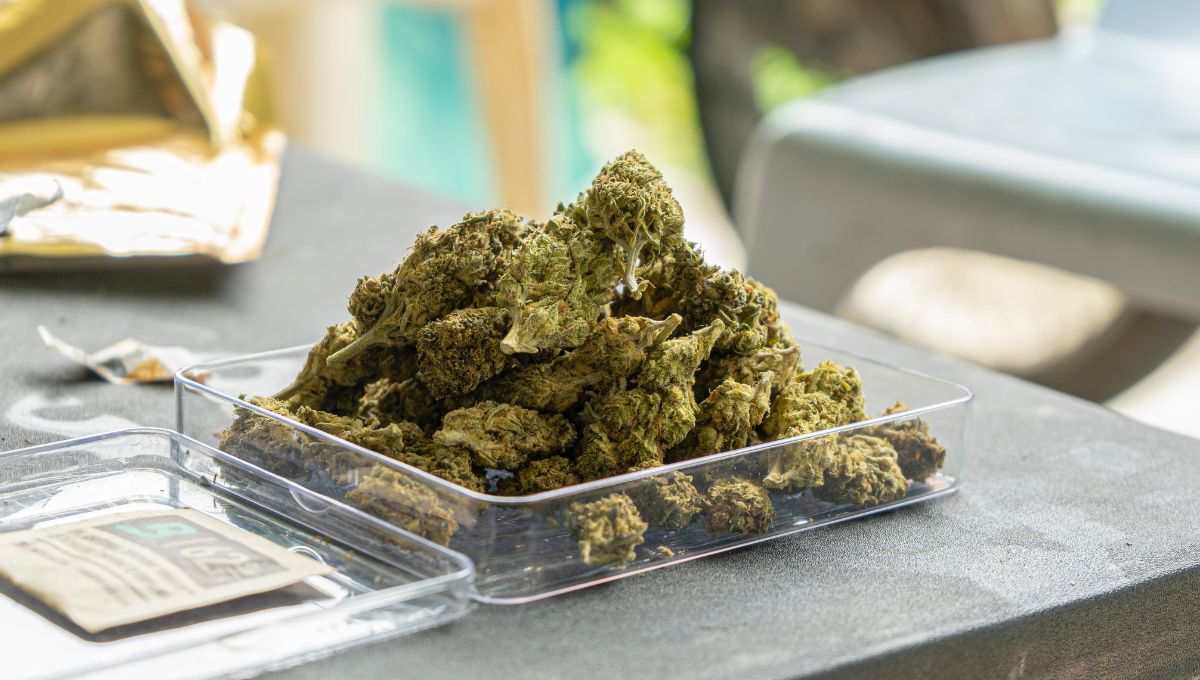 Premium Pot Online in Canada for as Low as $10: Deals and Discounts, Quality Strains, and More