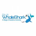 bajawhale shark Profile Picture
