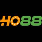 HO88 Profile Picture