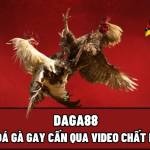 Daga888 lat Profile Picture