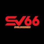 SV66 Profile Picture