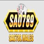 sao 789 Profile Picture