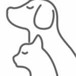 Jerry McNulty Profile Picture