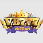 Vb 77 Profile Picture