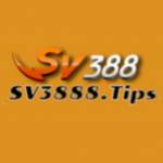 SV388 Profile Picture