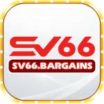 SV66 Bargains Profile Picture