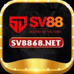 SV88 Profile Picture