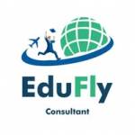 eduflyconsultant Profile Picture
