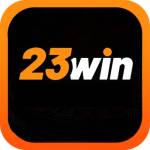 23 win Profile Picture