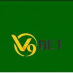 v9bettvip net Profile Picture