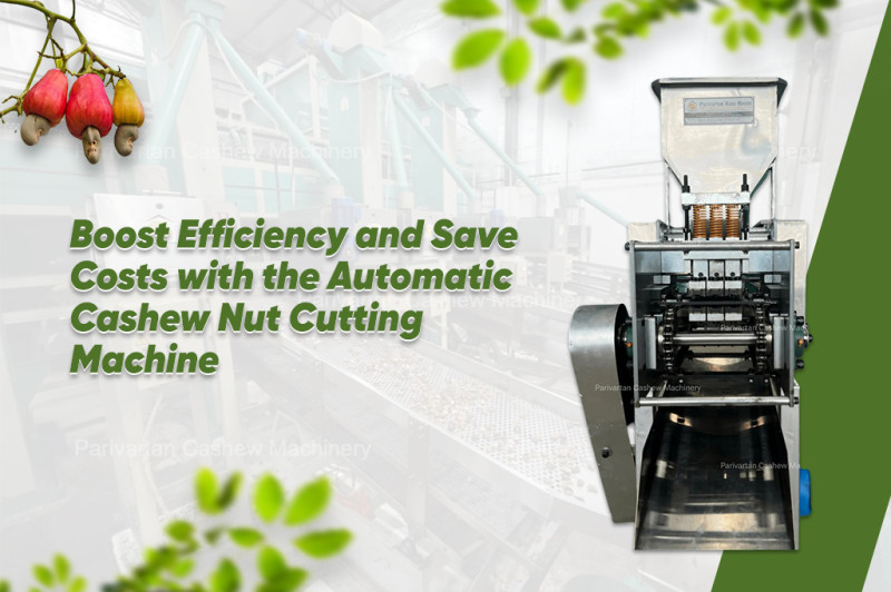 Boost Efficiency and Save Costs with the Automatic Cashew Nut Cutting Machine