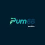 pum88 Profile Picture