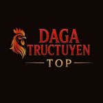 dagatructuyen top Profile Picture
