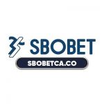 Nhà Cái Sbobet Profile Picture