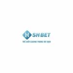shbetprofitmaximizer Profile Picture