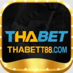 THABET THABET Profile Picture