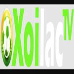xoilactvnvz cc die web Profile Picture