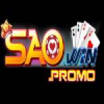 Saowin promo Profile Picture