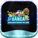 bancadoithuongvn Profile Picture