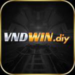 VNDWIN VNDWIN Profile Picture