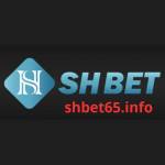 Shbet65 info Profile Picture