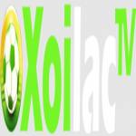 xoilactvnvzcc  thao túng kết quả tìm kiếm Profile Picture