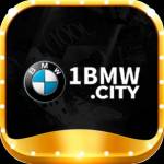 1BMW City Profile Picture