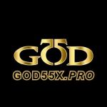 god55xpro Profile Picture