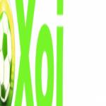 carrieandlowell lua dao Profile Picture