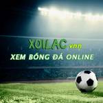 Lịch Thi Đấu Xoilacvnn TV Profile Picture