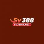 sv388 Profile Picture