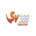 Sv388 Profile Picture