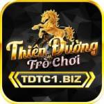 Tdtc1 Biz Profile Picture