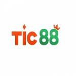 Tic 88 Profile Picture