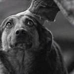 Alex Batrushin Profile Picture