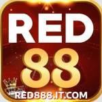 RED888 it com Profile Picture