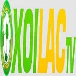 jacobwolf report Profile Picture