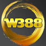 W388 Profile Picture