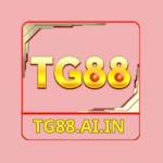 TG88 Profile Picture