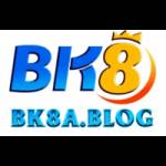 Bk8 a blog Profile Picture