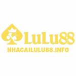 nhacailulu88info Profile Picture
