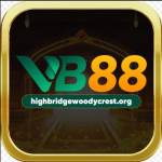 VB 88 Profile Picture