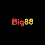 Big88 nhà cái Profile Picture