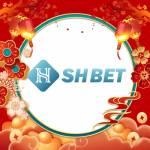 SHBETme com Profile Picture