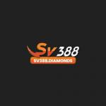 SV388 Profile Picture